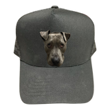 Your Pet Trucker Hat